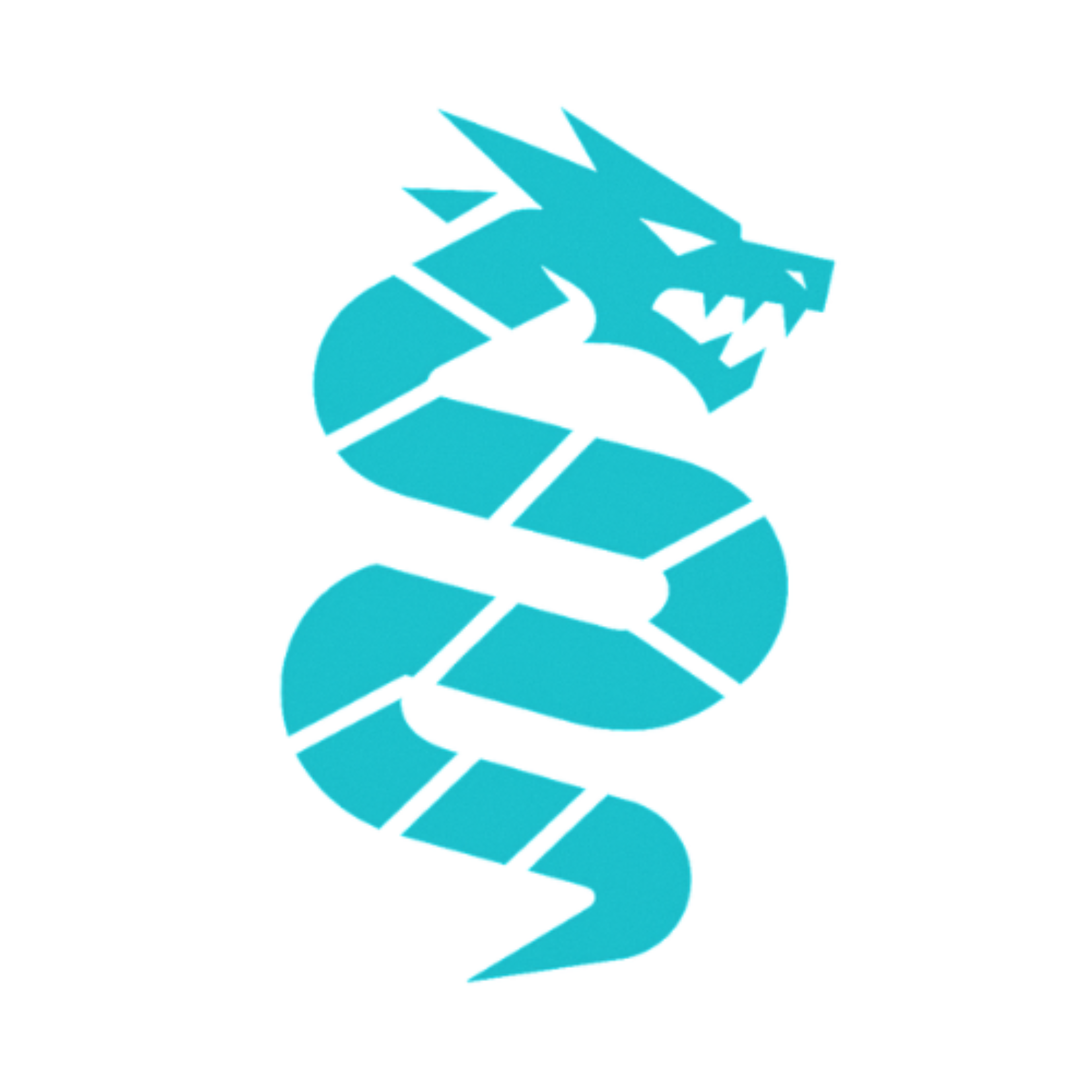 Slifer Solutions Logo
